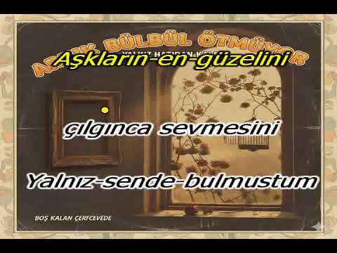 boş çerçeve karaoke(cover)