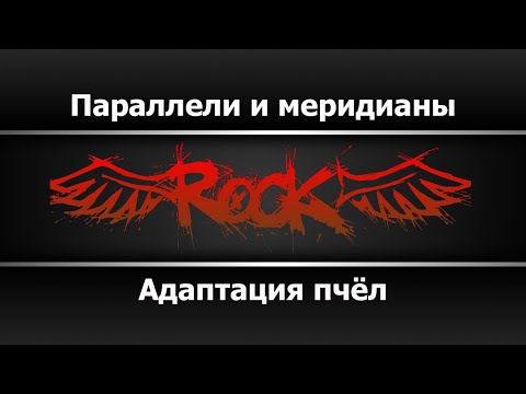 Адаптация пчёл - Параллели и меридианы