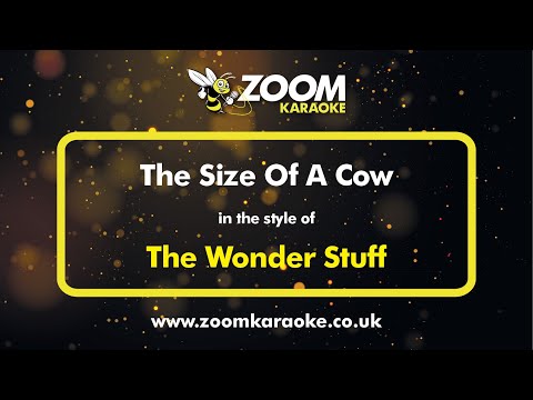 The Wonder Stuff - The Size Of A Cow