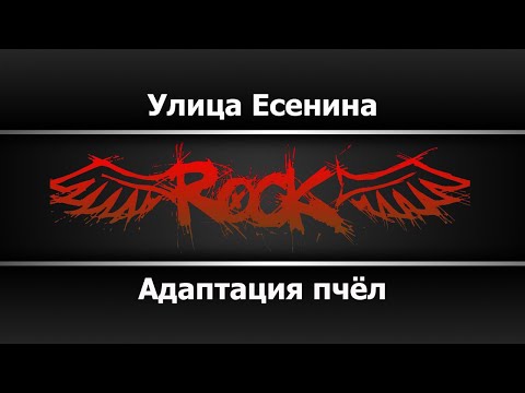 Адаптация Пчёл - Улица Есенина