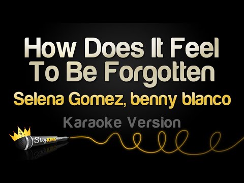 Selena Gomez, benny blanco - How Does It Feel To Be Forgotten