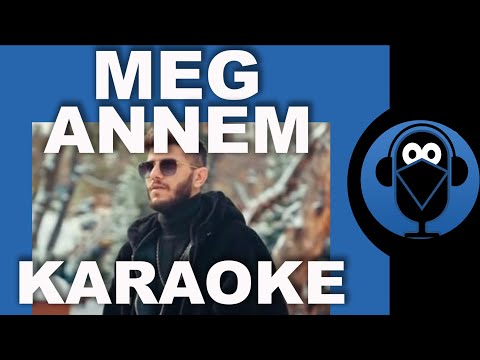 MEG - ANNEM /