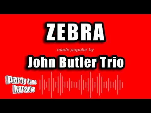John Butler Trio - Zebra