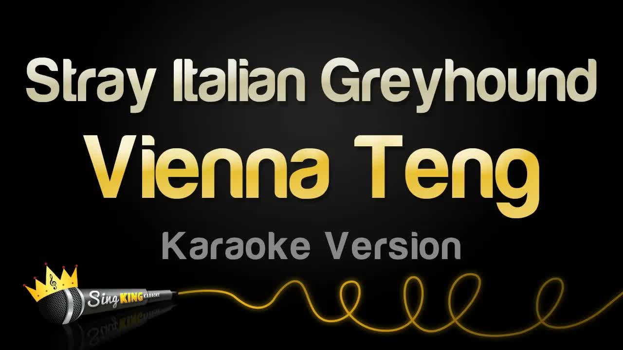Vienna Teng - Stray Italian Greyhound