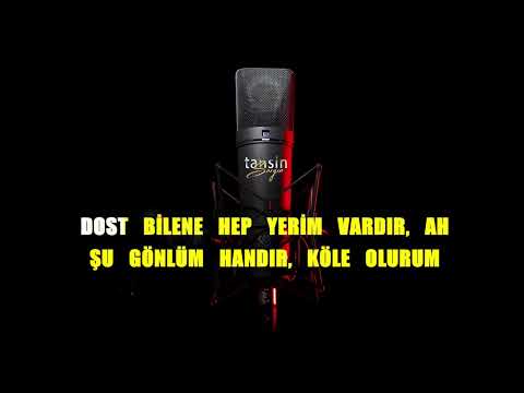 Tarkan - Çınar