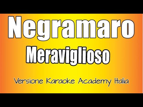 Negramaro - Meraviglioso