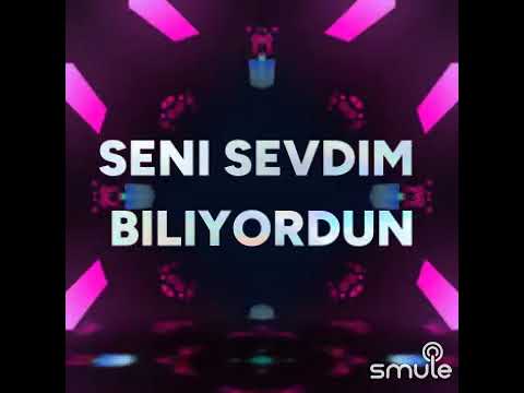 Seni sordum yıldızlara