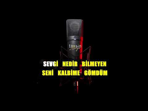 Hakan Gürses - Seni Kalbime Gömdüm