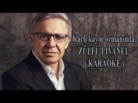 Karlı kayın ormanında ZÜLFÜ LİVANELİ