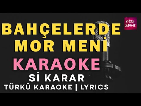 Bahçelerde Mor Meni - Si