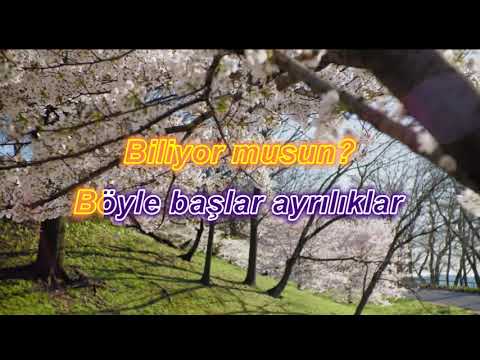 karaağaç karaoke sezen aksu