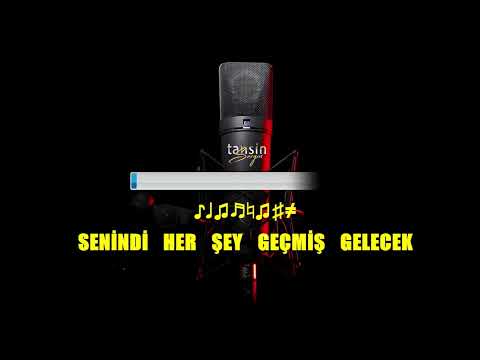 Gülden Karaböcek - Sevsen Ne Olurdu