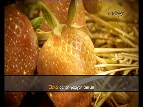 İKİNCİ BAHAR