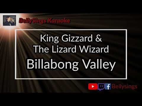 King Gizzard & The Lizard Wizard - Billabong Valley