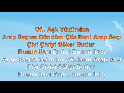 ERKİN KORAY - ARAP SAÇI