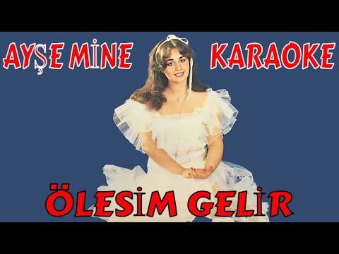 AYŞE MİNE ÖLESİM GELİR