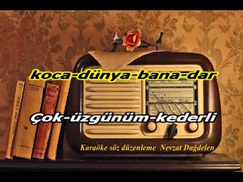 Yeşilçam Klasikleri Zara Kalbi Kırık Serseri (ZARA)