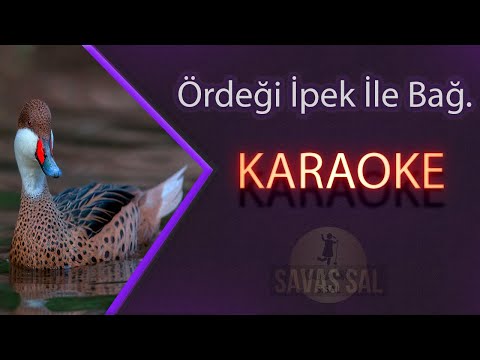 Ördeği İpek İle Bağlamışlar