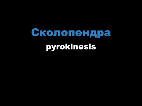 pyrokinesis - сколопендра
