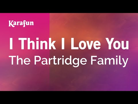 The Partridge Family - I Think I Love You