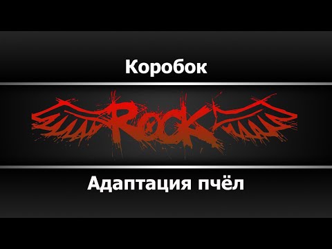 Адаптация пчёл - Коробок