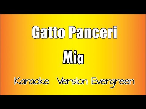 Gatto Panceri - Mia
