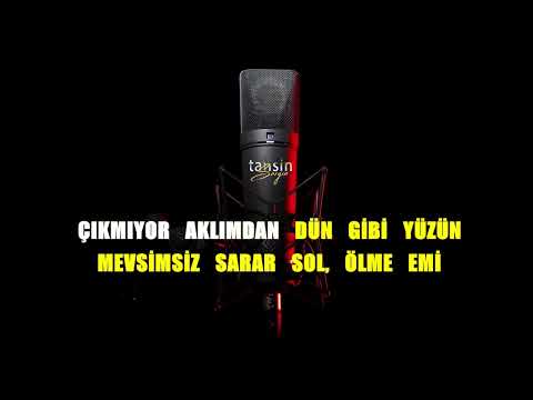 Aysel Yakupoğlu - Gülme Emi