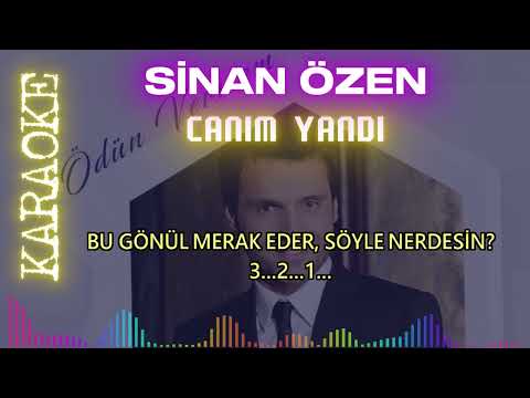 Sinan Özen - Canım Yandı