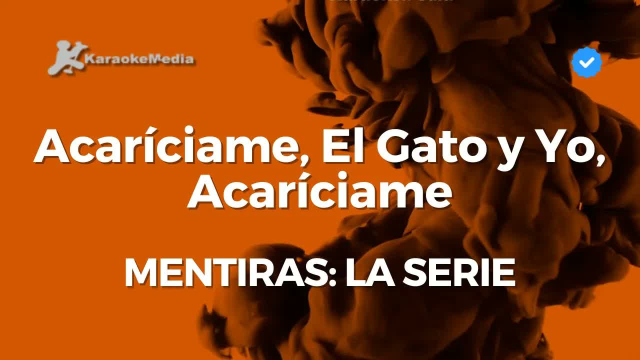 Acaríciame, El Gato y Yo, Acaríciame - MENTIRAS: La Serie