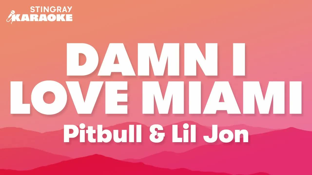 Pitbull & Lil Jon - Damn I Love Miami