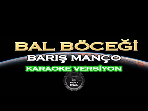 Barış Manço - Bal Böceği