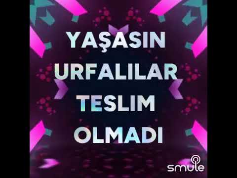Kolumu salladım