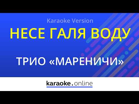народная песня - Несе Галя воду