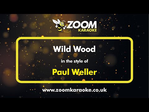 Paul Weller - Wild Wood