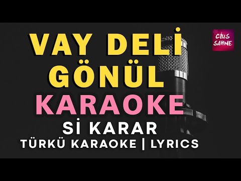 Vay Deli Gönül - Si
