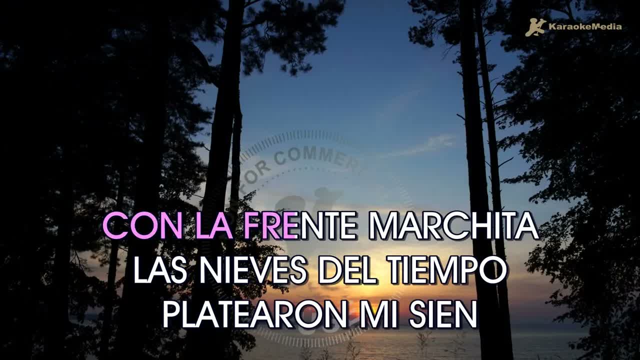 Estrella Morente - Volver