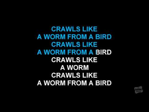 The Used - The Bird & The Worm