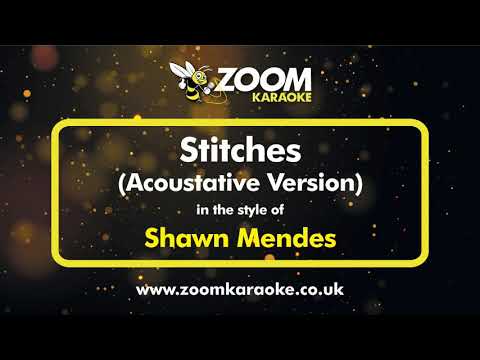Stitches - Shawn Mendes (Original Male Key)