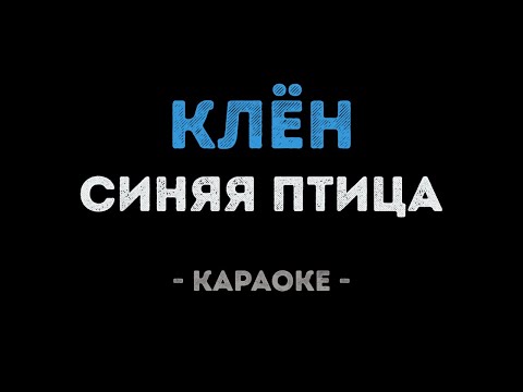 Синяя птица - Клён