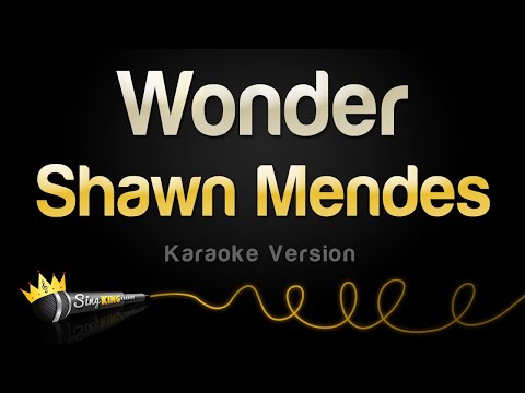 Shawn Mendes - Wonder