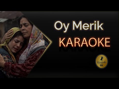 Oy Merik