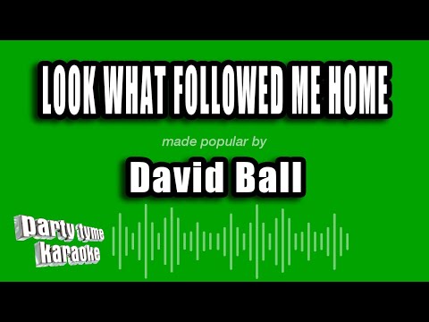 David Ball - Look What Followed Me Home