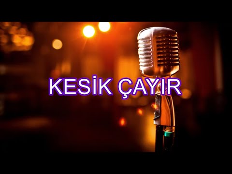 kesik çayır karaoke neşet ertaş