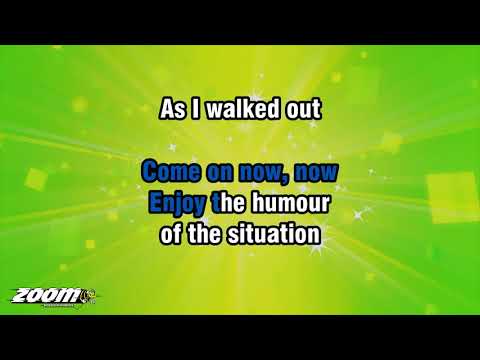 Barenaked Ladies - The Humour Of The Situation