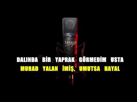 Sakiler - Usta