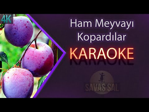 Ham Meyvayı Kopardılar Dalından Traditional Folk Song