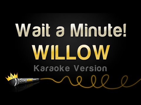 WILLOW - Wait a Minute!