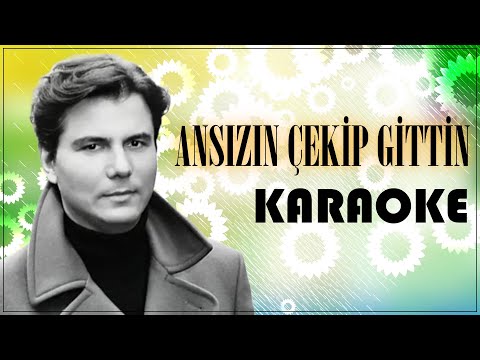 Ansızın Çektin Gittin