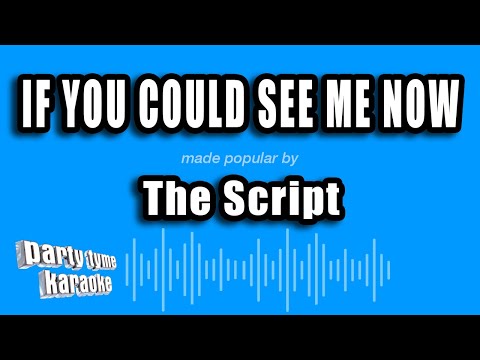 The Script - If You Could See Me Now