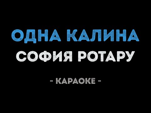 София Ротару - Одна калина